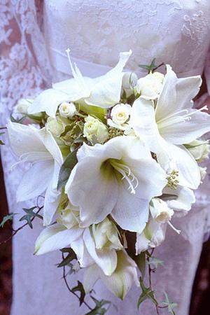 高学歴の相手と成婚できる結婚相談所