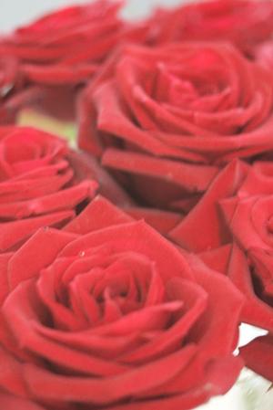 結婚したいので結婚相談所に行くなら